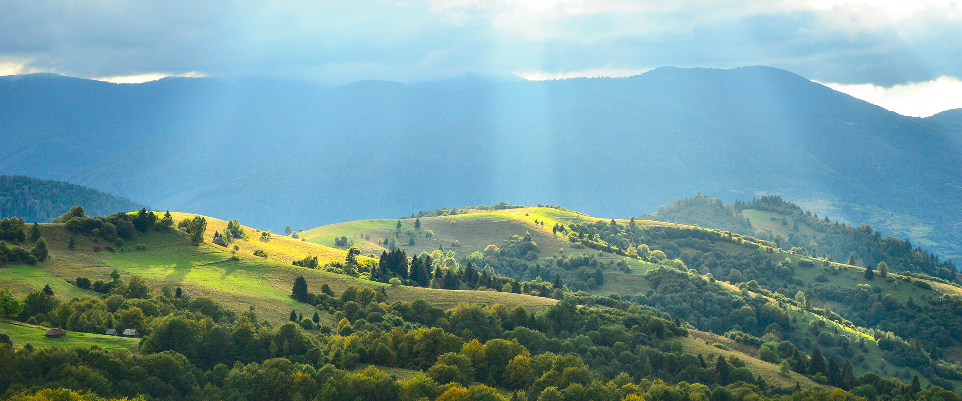 华峰集团官方网站建设
