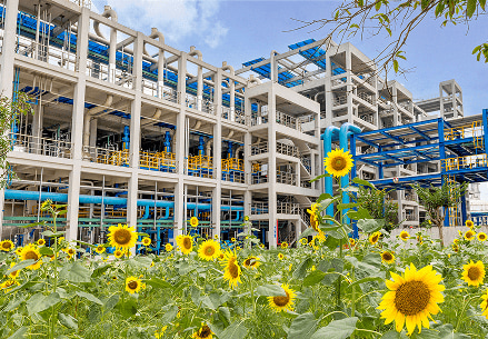 华峰集团官方网站建设